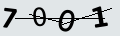 verifycode
